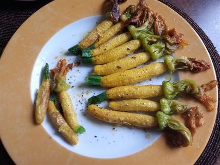 Courgette flowers cooked in a frying pan with sesame oil, a bit of garlic, coriander seeds for 10 mins.